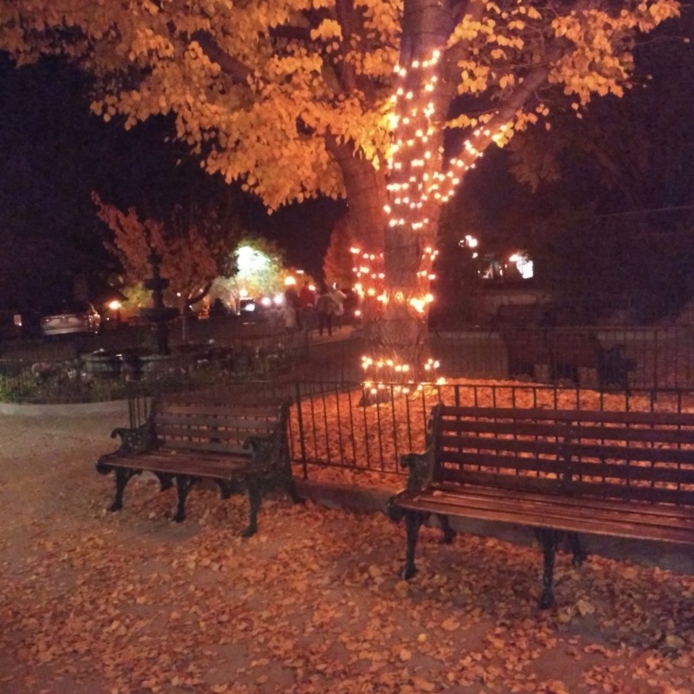 Meet your Posher, Rosa